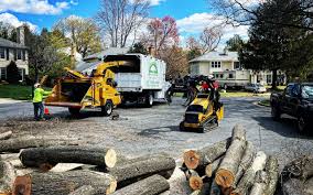Best Lawn Pest Prevention  in Blue Grass, IA